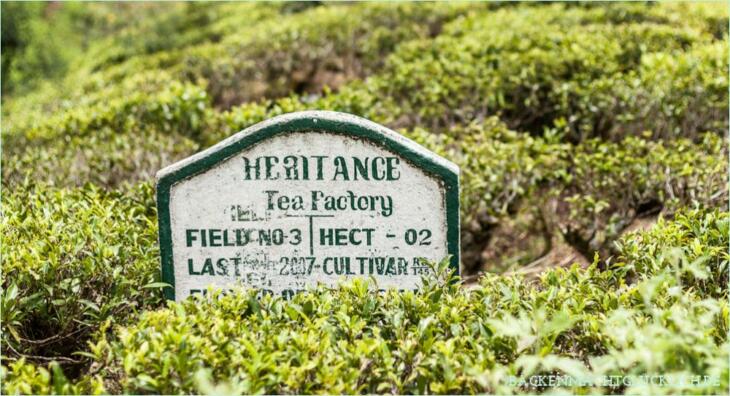 Heritance Tea Factory auf Sri Lanka