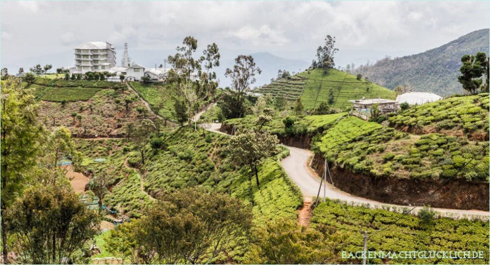 Ehemalige Teefabrik Hotel Heritance Tea Factory