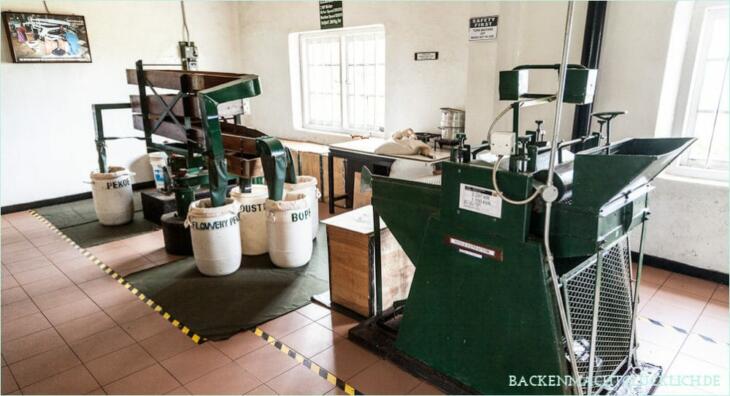 Tea Factory Hotel Teefabrik zum Besichtigen