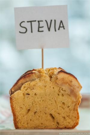 Kuchen mit Stevia - Backen ohne Zucker