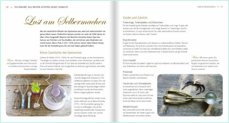 Eisträume Buch Eis selber machen