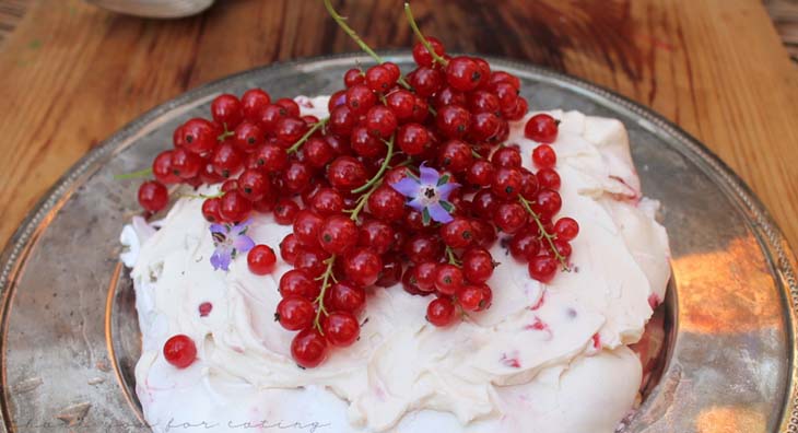 Pavlova mit Beeren