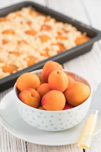 Aprikosenkuchen mit frischen Aprikosen