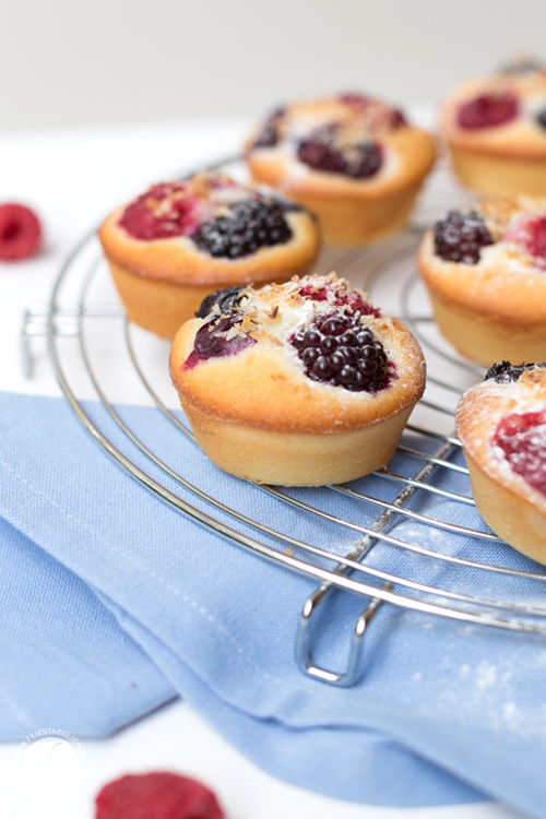 Kokos-Beeren-Friands