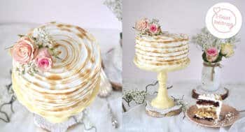 Schoko-Walnuss-Torte