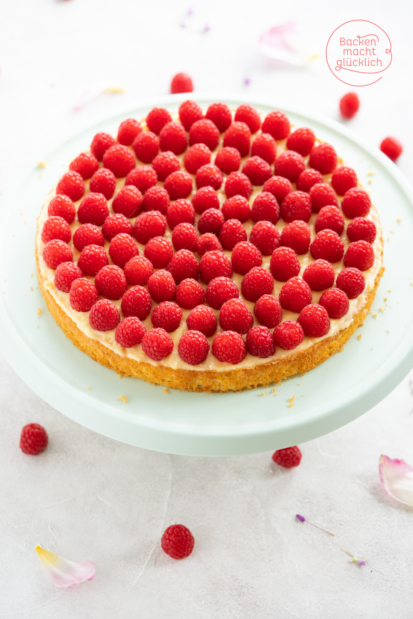 Himbeerkuchen mit Biskuitboden