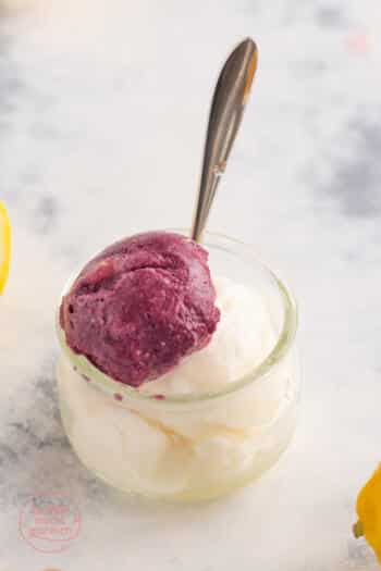 Sorbet Eis selbermachen