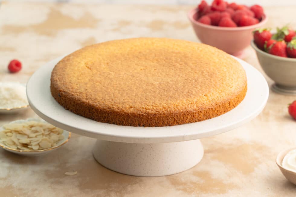 Veganer Biskuitboden für Obstkuchen