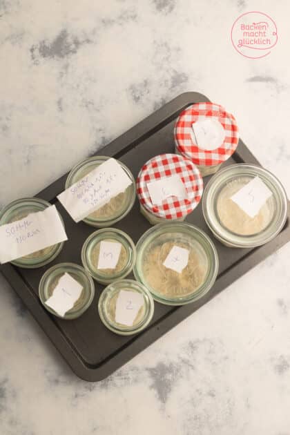 Test Overnight Oats mit verschiedenen Mengen Haferflocken und Milch und Joghurt