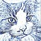Avatar von Winterkatze
